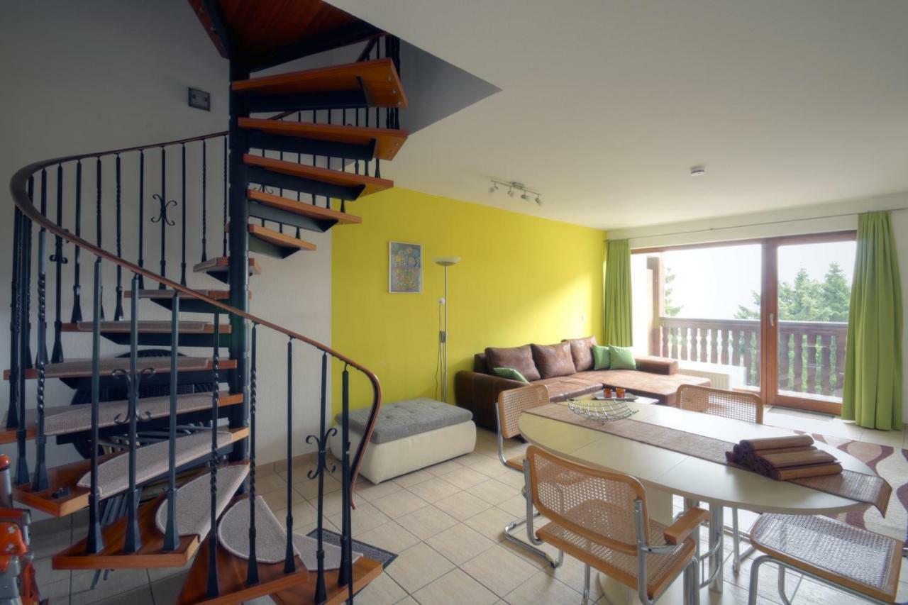 Ferienwohnung Neagu Mit 2 Apartements Winterberg Buitenkant foto